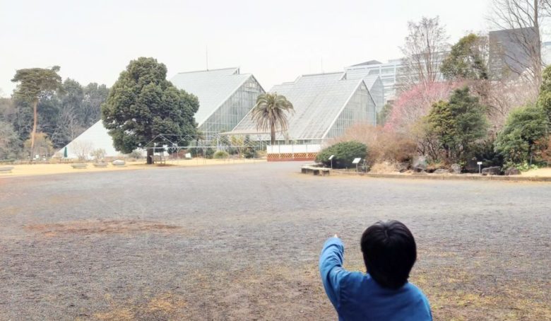 筑波実験植物園　プロムナードを抜けた先の建物