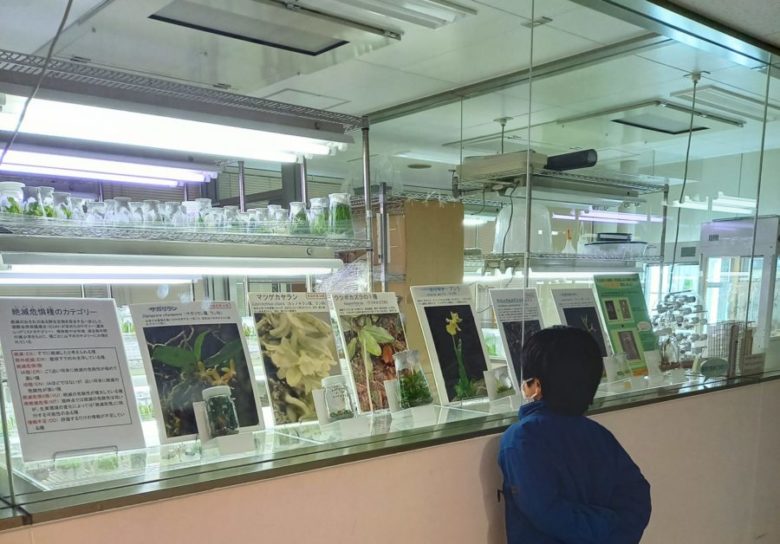 筑波実験植物園　研修展示物