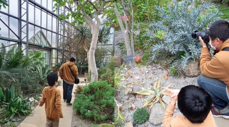 筑波実験植物園　サバンナで写真を撮る