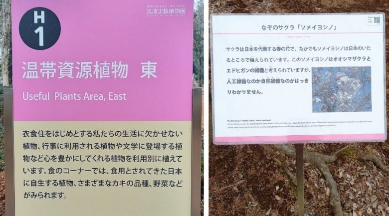 筑波実験植物園　H1