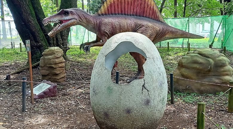 フォトスポット恐竜の卵