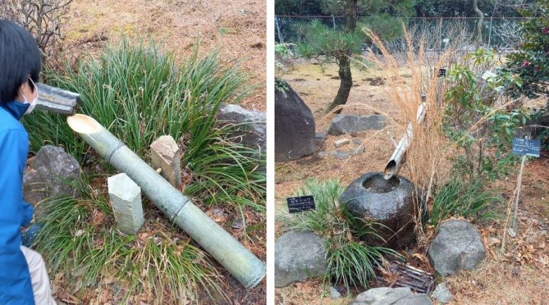 筑波実験植物園　いのちを支える多様性区