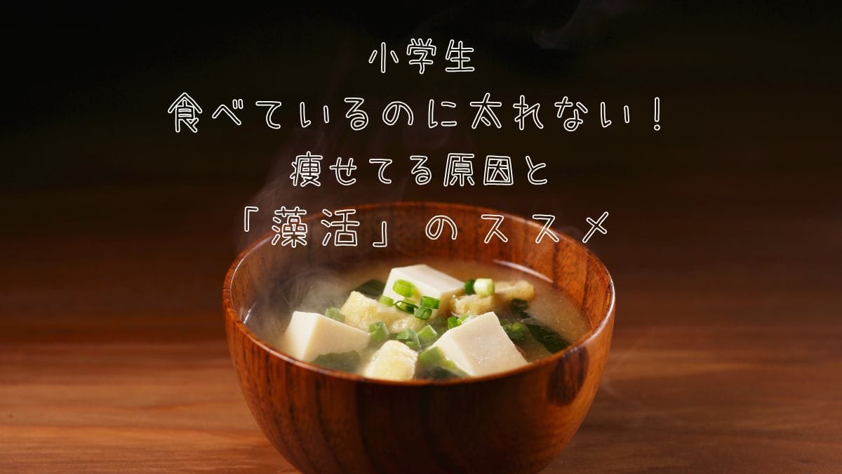 小学生、食べているのに太れない！「藻活」のススメアイキャッチ画像